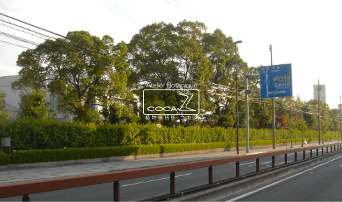 b0160123_1361129.gif