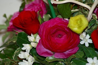 f0170524_17214033.jpg