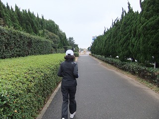 c0070439_1471813.jpg
