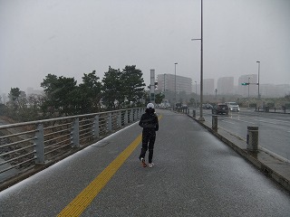 c0070439_1474841.jpg