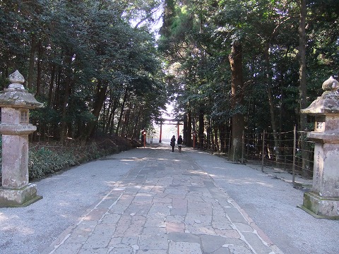 c0070439_1581042.jpg