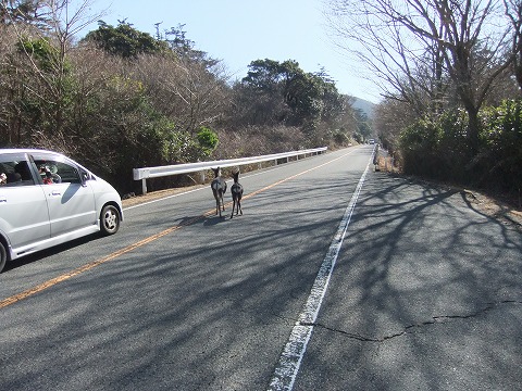 えびの、霧島　師走のドライブ　天気も見方_c0070439_1582611.jpg