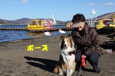 山中湖WOOF~飛び込みマスター♪_e0195743_2463173.jpg