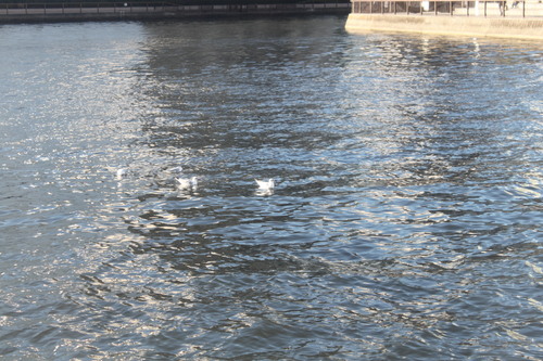 e0004846_12432015.jpg