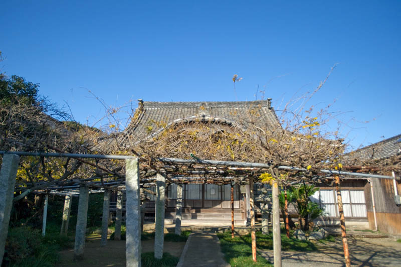 ◆梅岳寺　Baigakuji Temple_b0023047_492230.jpg