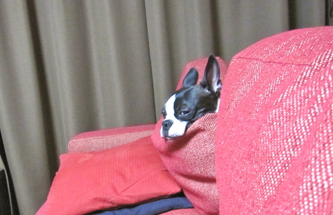 b0209455_0365147.jpg