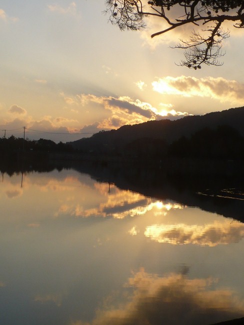 2010年12月28日（火）　神戸・生田神社_a0063364_2132395.jpg