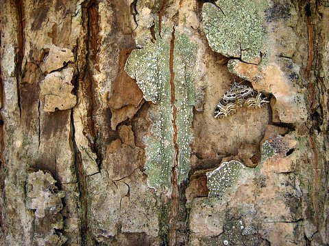 b0130166_20403981.jpg