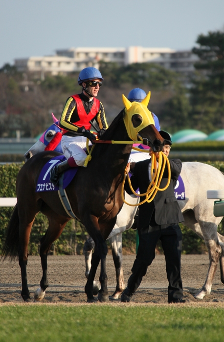 第55回有馬記念 2cmに泣いたブエナビスタ Turfに魅せられて 写真紀行 第55回有馬記念 2cmに泣いたブエナビスタ Turfに魅せられて 写真紀行