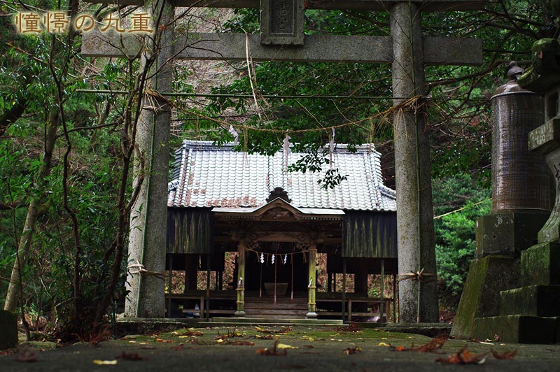 偶々通りがかった神社にて_f0173067_1863212.jpg