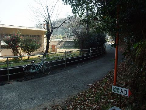 似島「安芸小富士」他、山歩き~2/3_e0045768_21495584.jpg