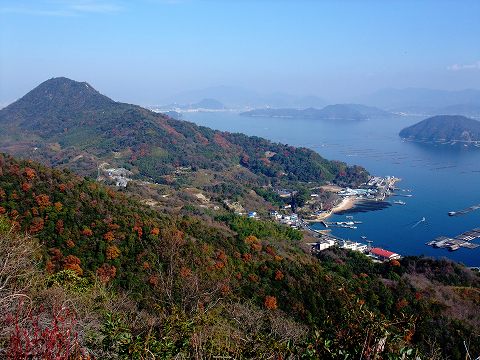 似島「安芸小富士」他、山歩き~2/3_e0045768_21553583.jpg