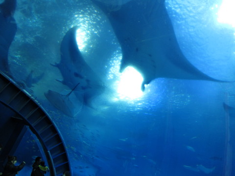 a0167672_20442358.jpg