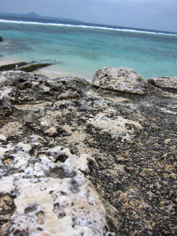 a0167672_20455447.jpg