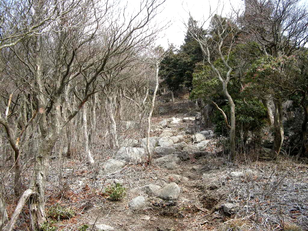 強風吹き荒れ寒い！それでもやるで～鈴鹿・仙ケ岳～宮指路岳縦走_b0185573_17445660.jpg