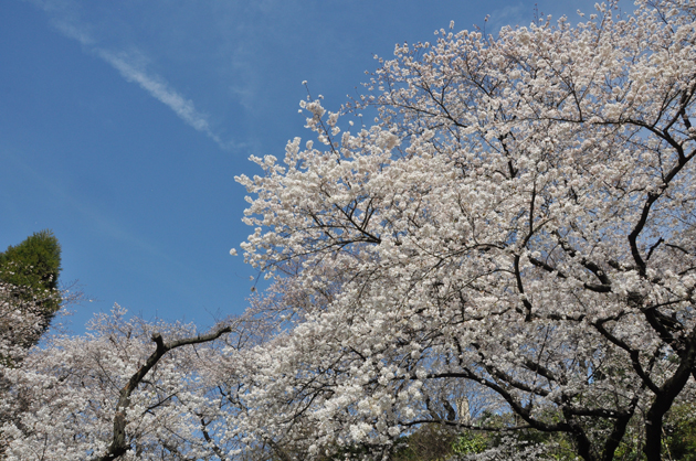 旅で始まり旅で始まる;かさこの2010年-2011年_e0171573_1622255.jpg