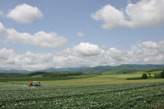 旅で始まり旅で始まる;かさこの2010年-2011年_e0171573_16252934.jpg