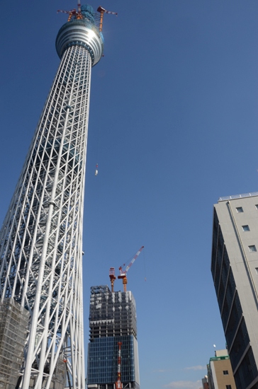 旅で始まり旅で始まる;かさこの2010年-2011年_e0171573_16295470.jpg