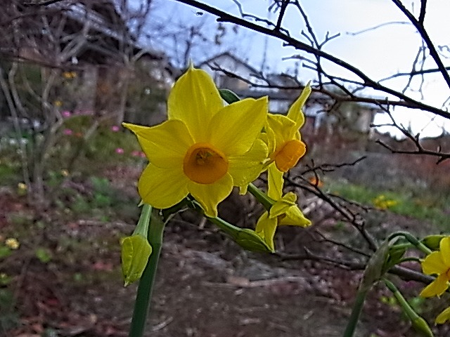 e0181373_20481551.jpg