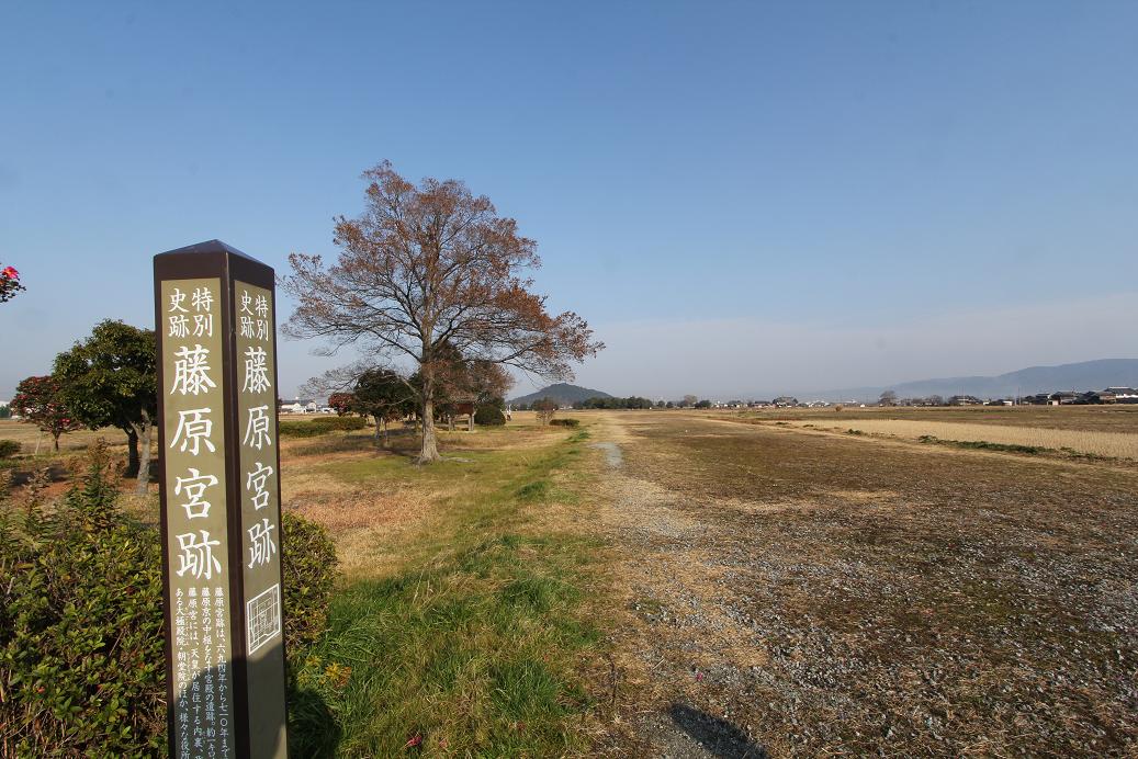 藤原京跡 長谷寺 室生寺_a0107574_23344318.jpg
