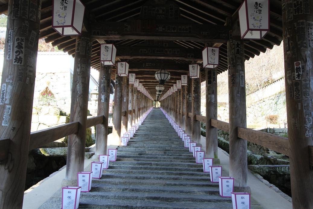 藤原京跡 長谷寺 室生寺_a0107574_23362056.jpg