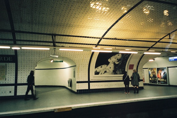 f0046982_1511169.jpg