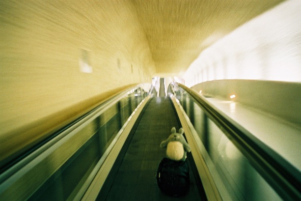 f0046982_15132750.jpg