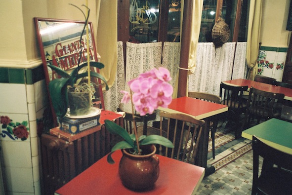 f0046982_158572.jpg