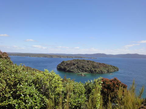 スチュワート島 3 Nzに住みたいの スチュワート島 3 Nzに住みたいの