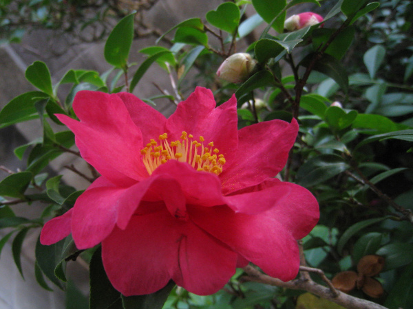 c0132387_03437.jpg