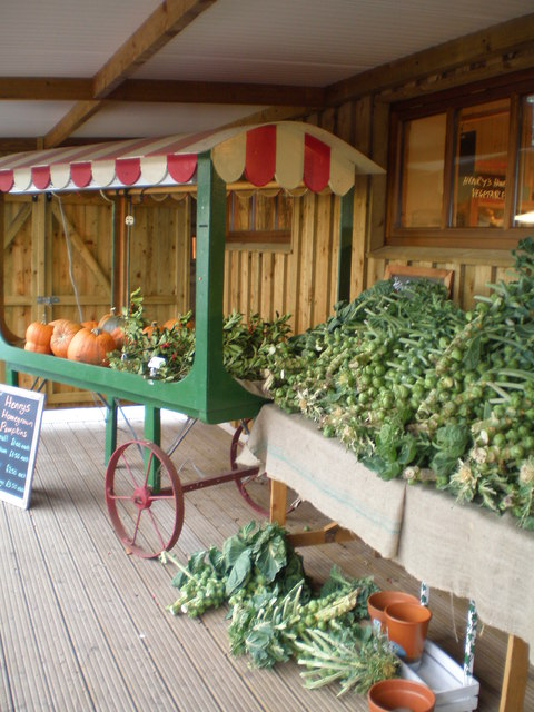 f0231288_2393550.jpg