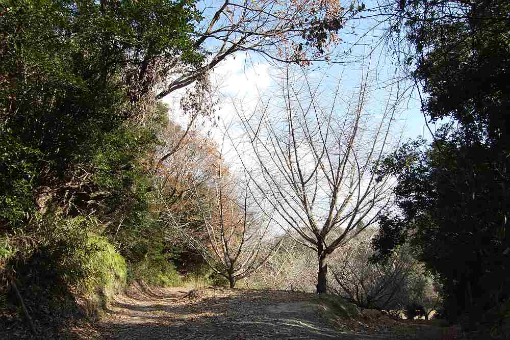 a0152692_205406.jpg