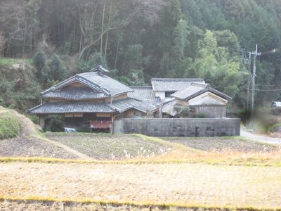 d0089494_9541117.jpg