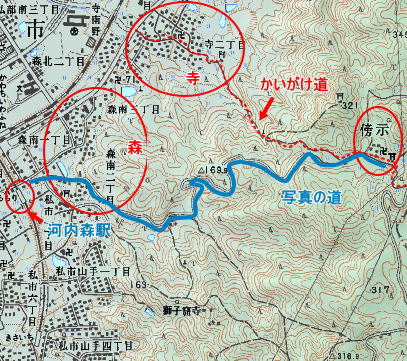 d0089494_956781.jpg