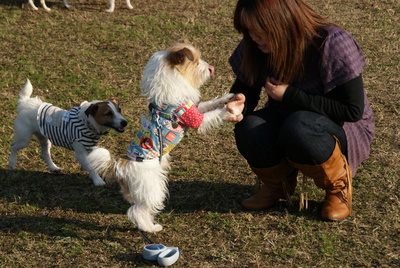 c0191597_23185490.jpg