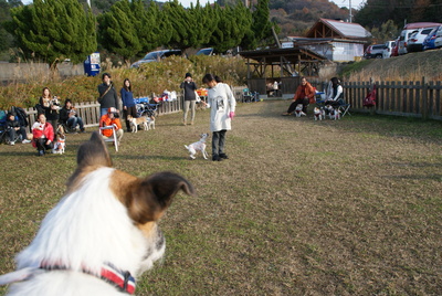 c0191597_23231636.jpg