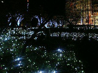 クリスマスの夜　～六本木、毛利庭園～_f0037097_253790.jpg