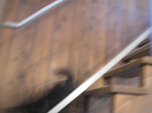 映画 14本 2010_e0055098_21115376.jpg