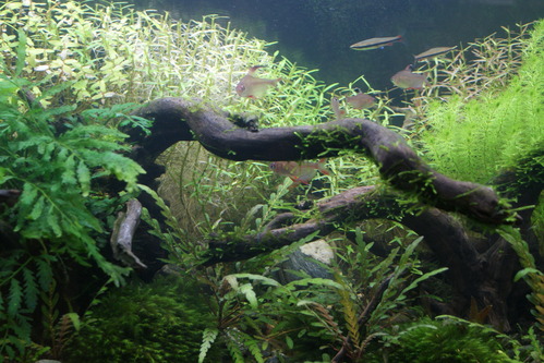 a0183301_1413626.jpg