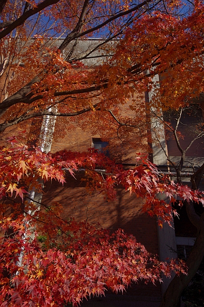c0156908_23244016.jpg