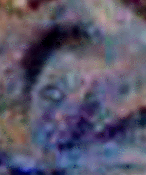 e0103408_1274966.gif