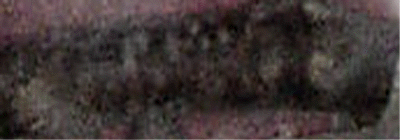 e0103408_128036.gif