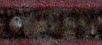 e0103408_1281178.gif