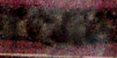 e0103408_128224.gif