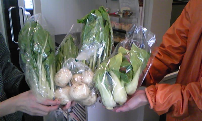 野菜_f0206213_134942100.jpg