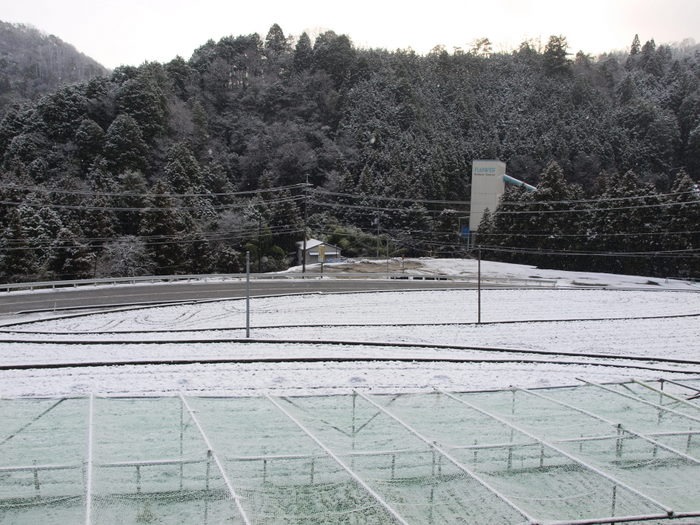 今朝の雪景色。。_c0116915_23102974.jpg