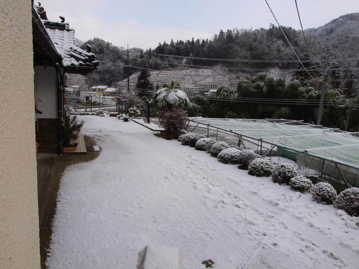 今朝の雪景色。。_c0116915_23111826.jpg