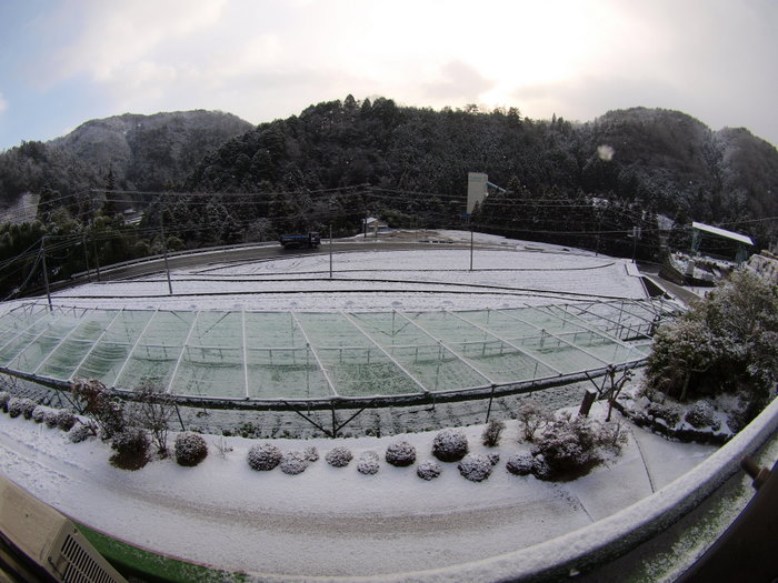 今朝の雪景色。。_c0116915_2314618.jpg