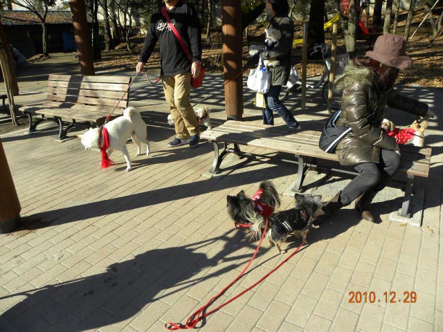 b0203018_1718672.jpg