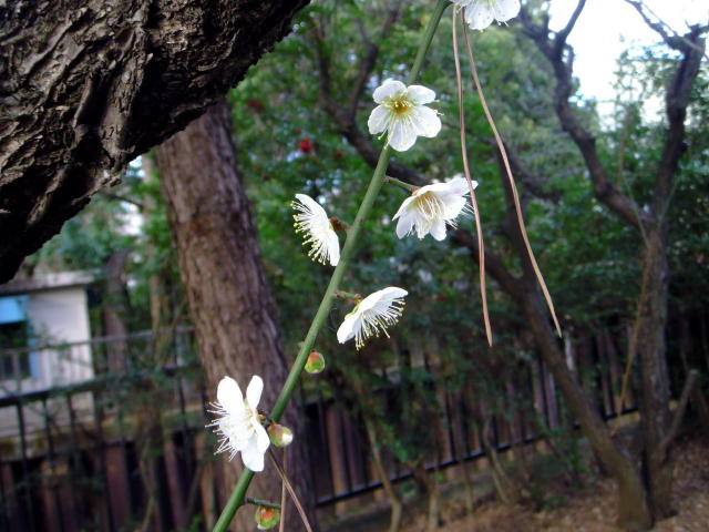 b0203018_17193695.jpg